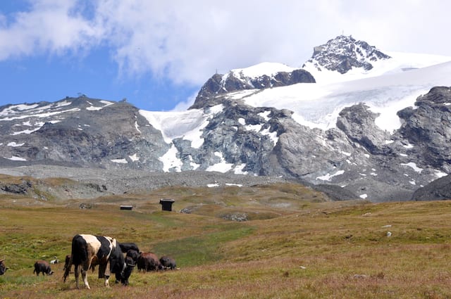 Hiking in Cervinia