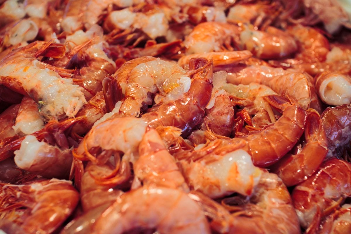 Shrimp at a food stall in Venice. 