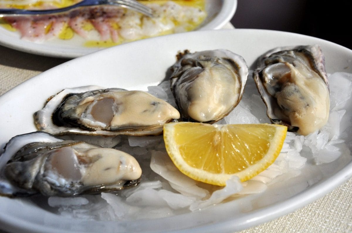 Oysters on a platter, at a  Italian Christmas dinner