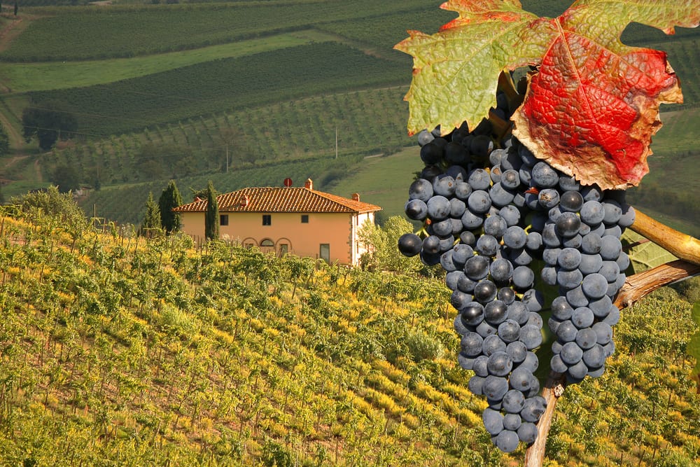 Tasting wine in Tuscany