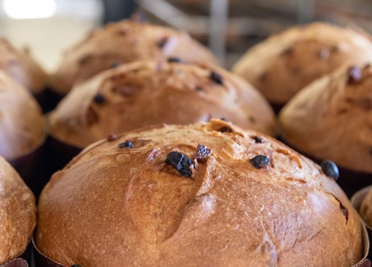 up-close image of domed bread product with raisins