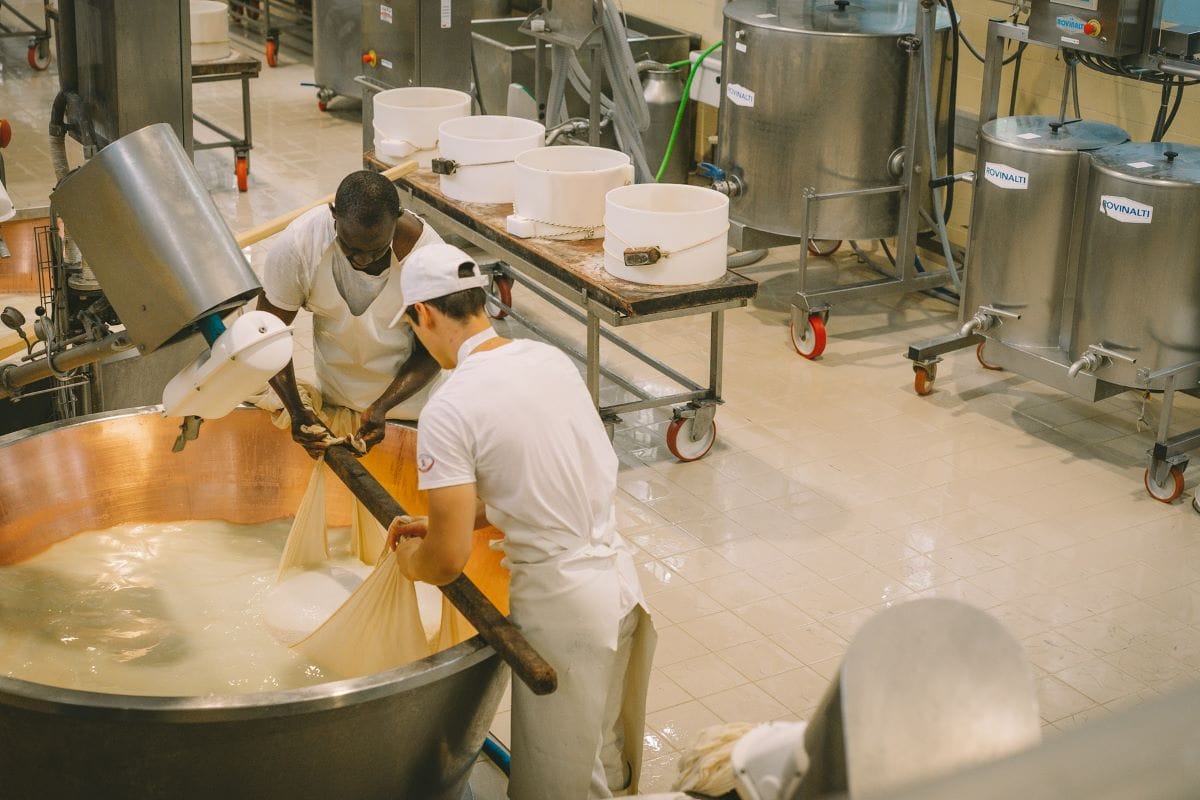 Two men making cheese in a warehouse. 