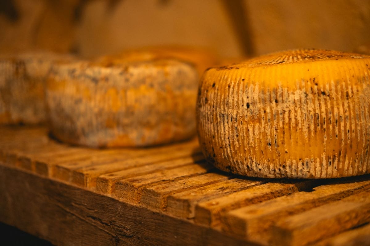 Cheese wheels sit on a wooden rack in Italy. 