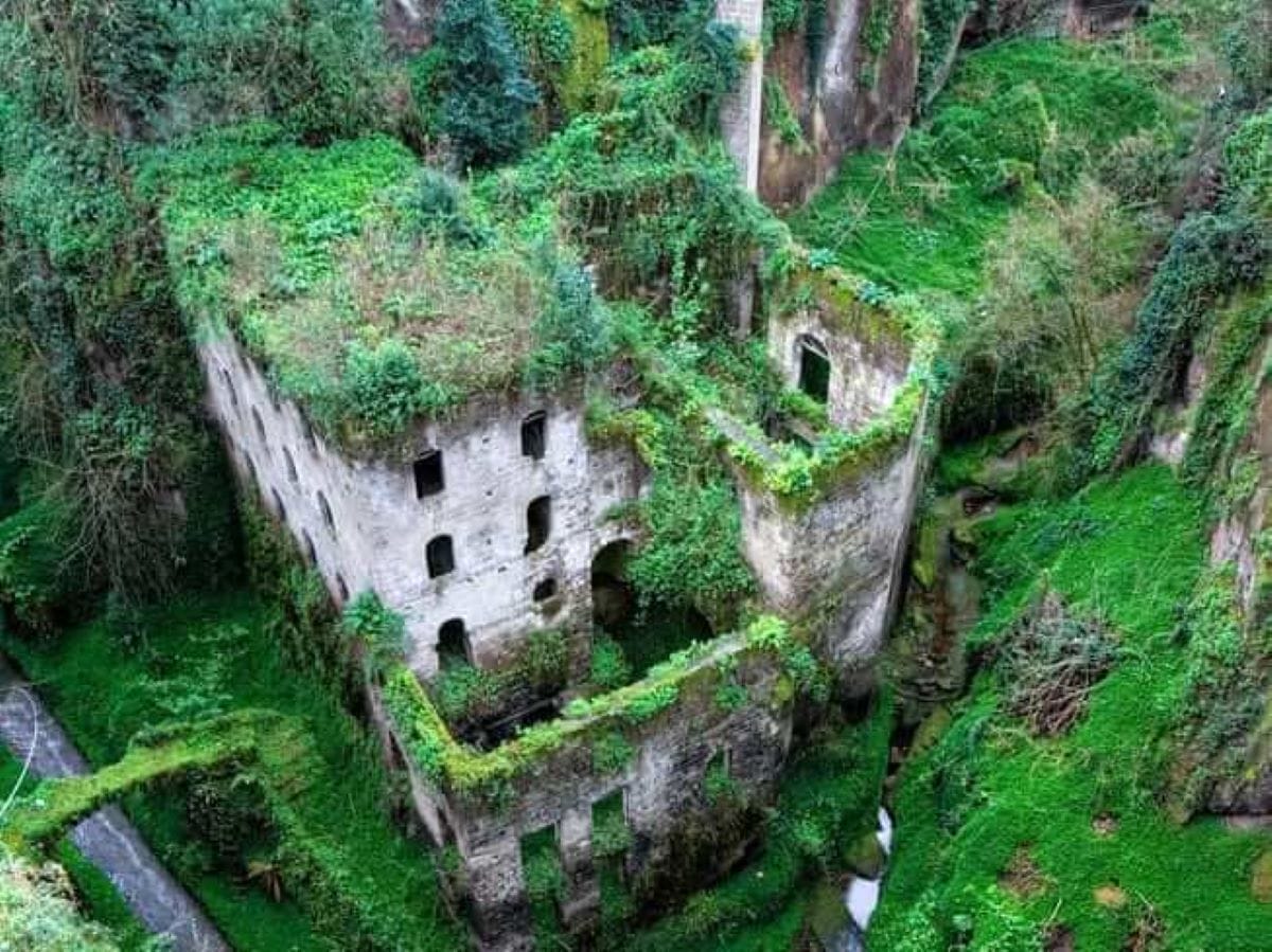 abandoned building covered in greenery