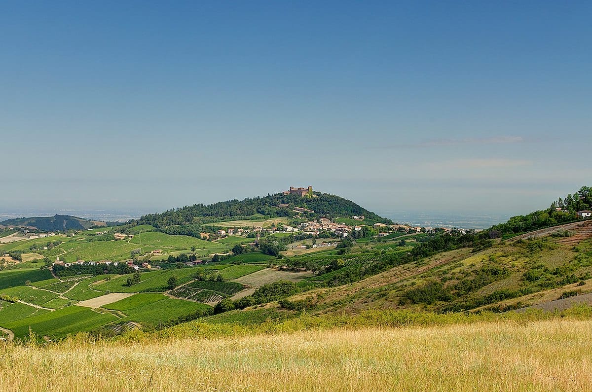 Landscape of wine tasting in Milan