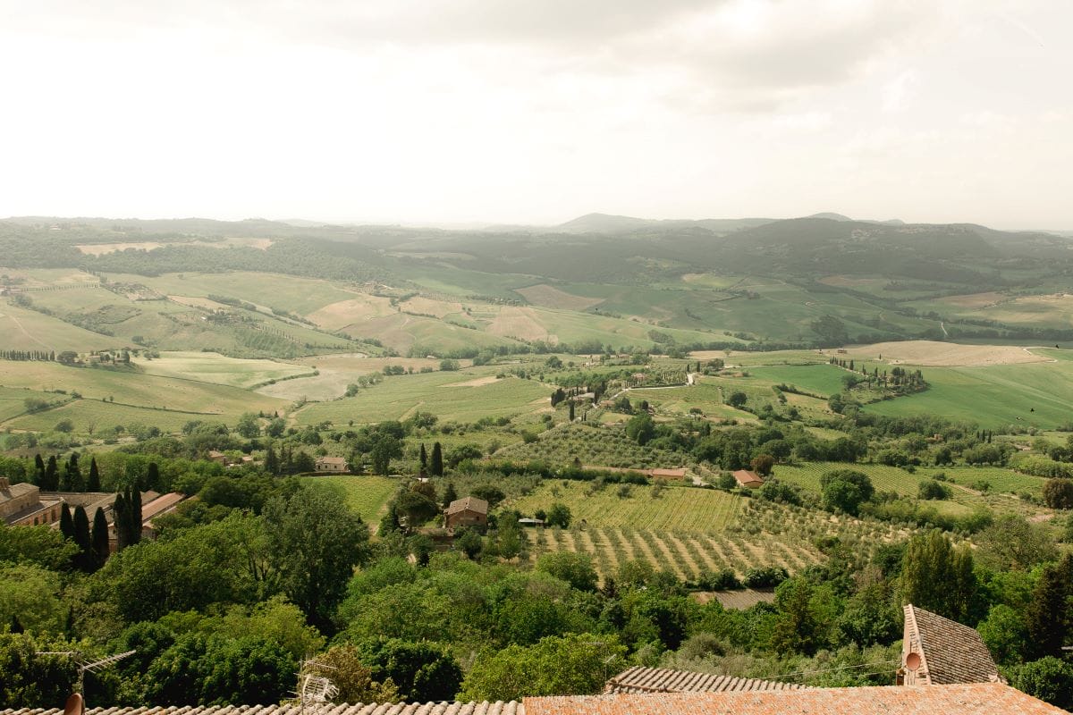 Lush green hillsides in Tuscany.