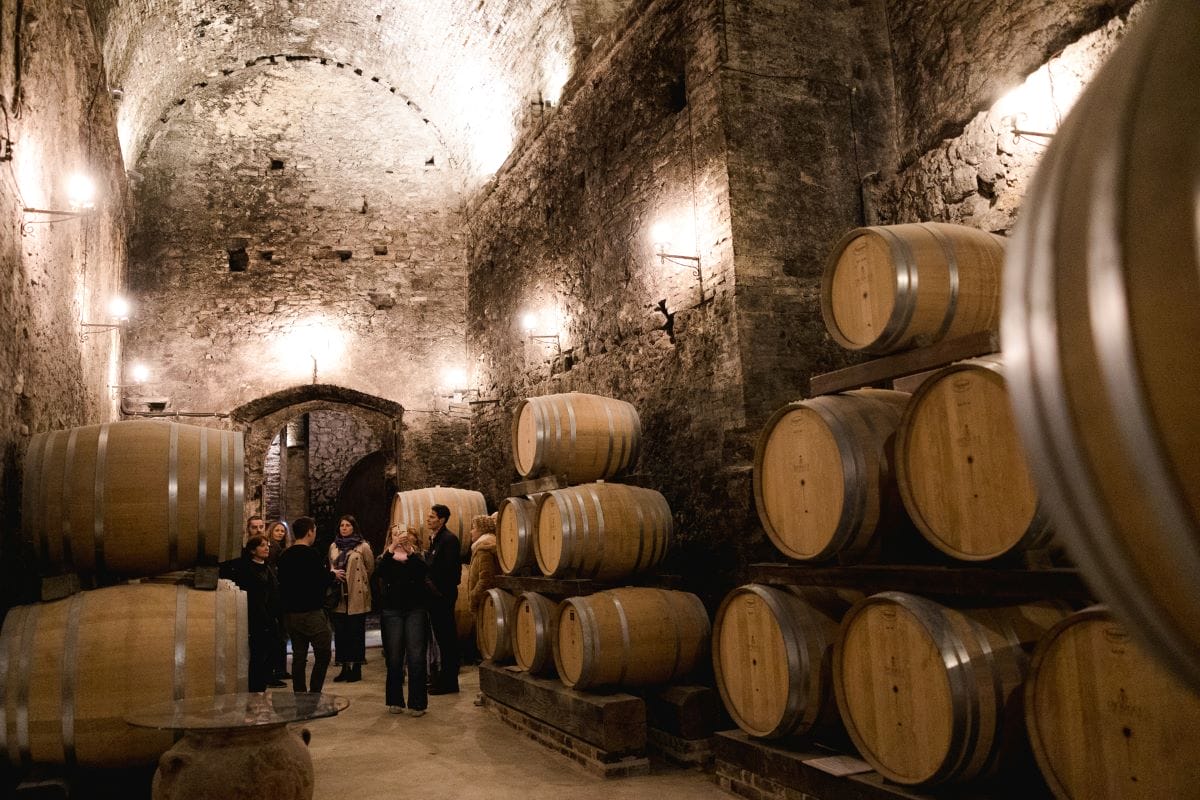 A group of people standing in a wine cellar learning about Italian wine.