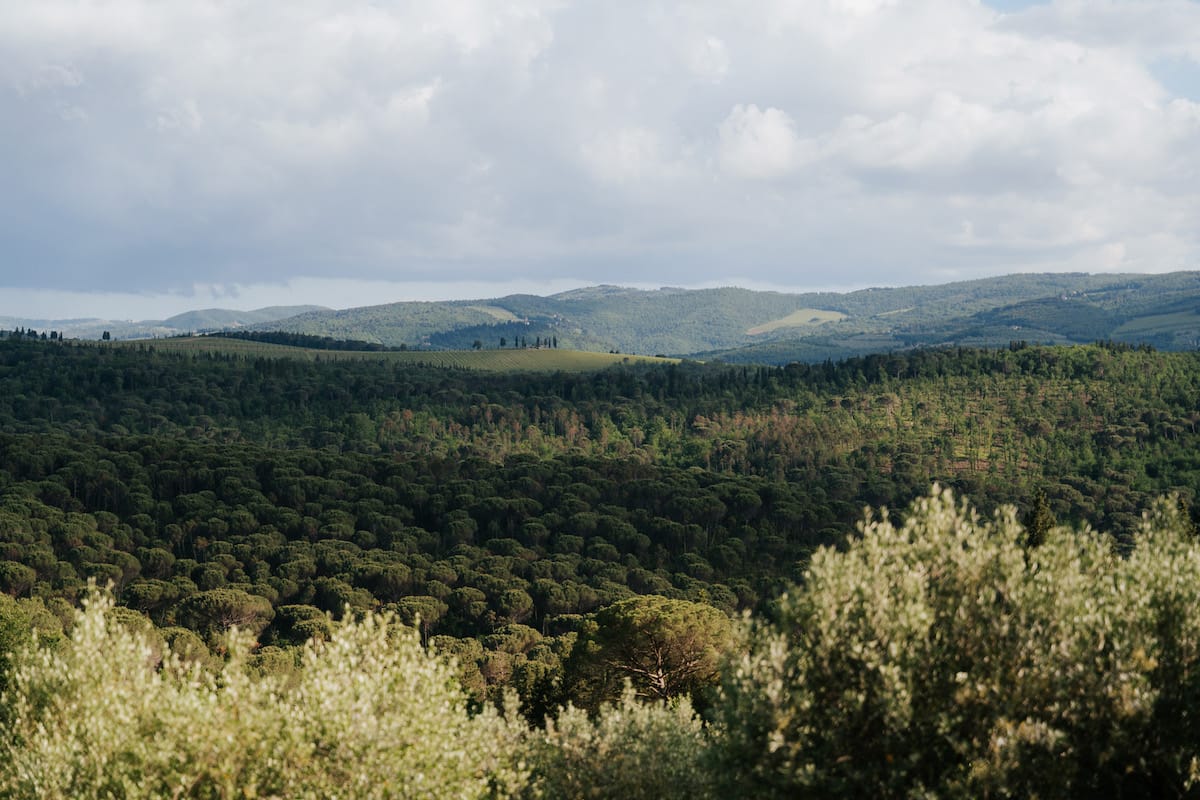 Chianti fields in Tuscany, landscape