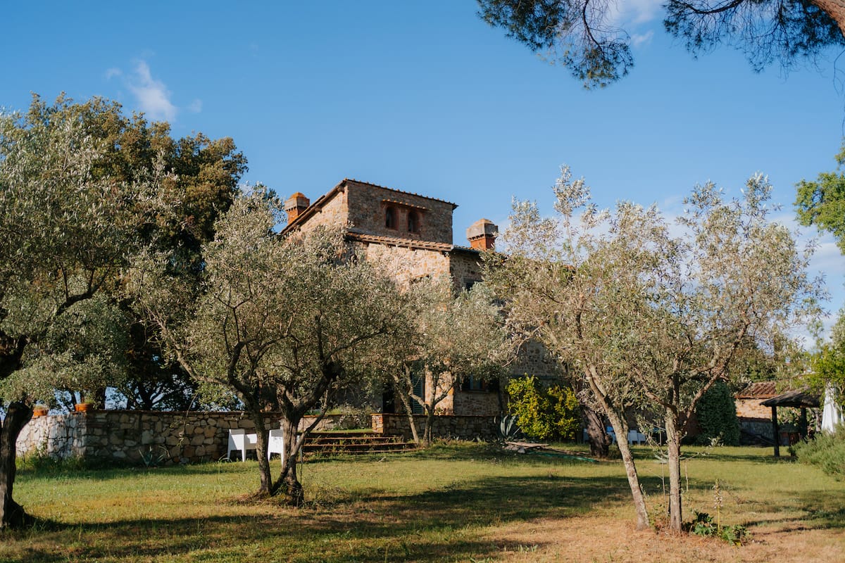 Building and olive trees in a field in Tuscany