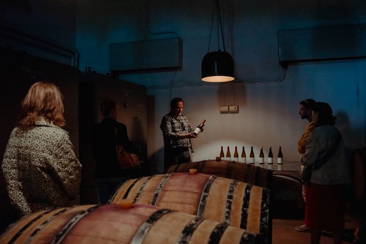 A winemaker in a wine cellar explaining wines. 